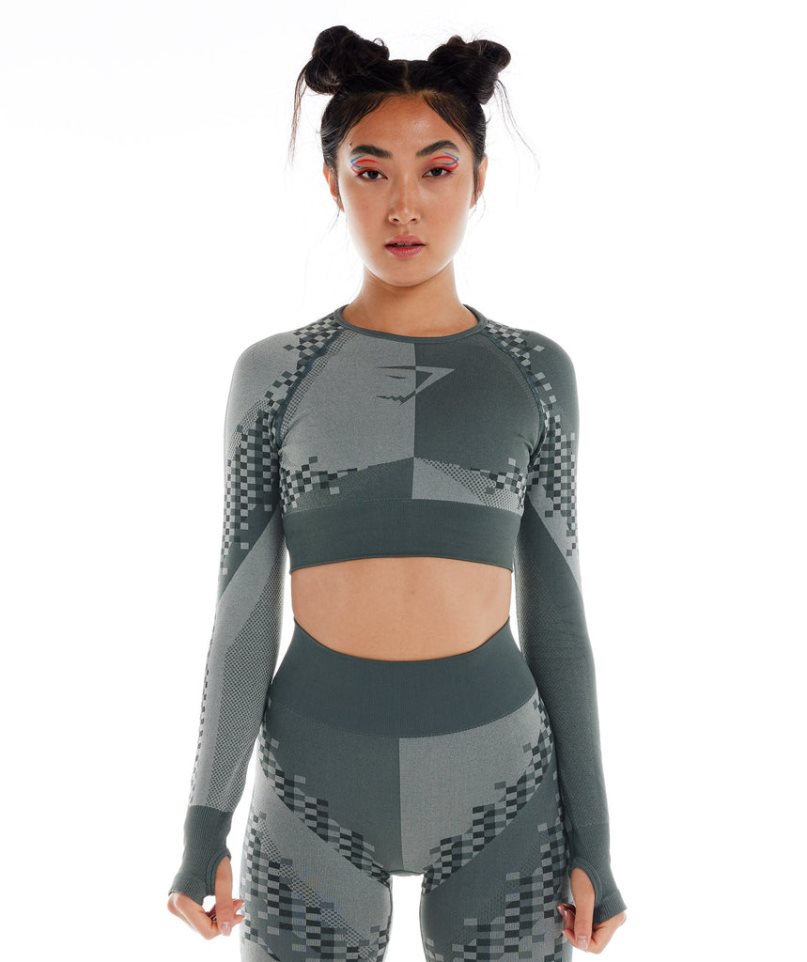 Women\'s Gymshark Wtflex Cyborg Seamless Long Sleeve Cropped Tops Grey | CA 035N7A